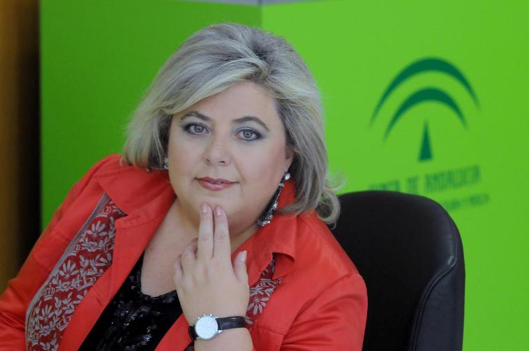 Excmo. Sr. D. Isaías Pérez Saldaña